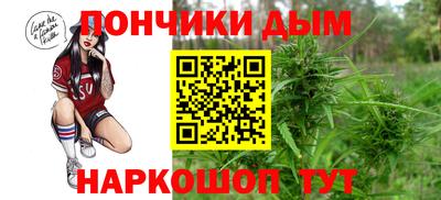 амф Новозыбков