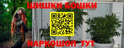 метадон Новодвинск