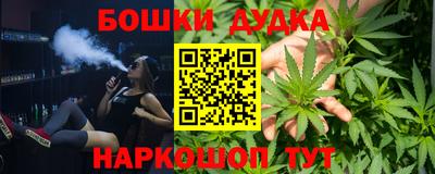 амф Новозыбков