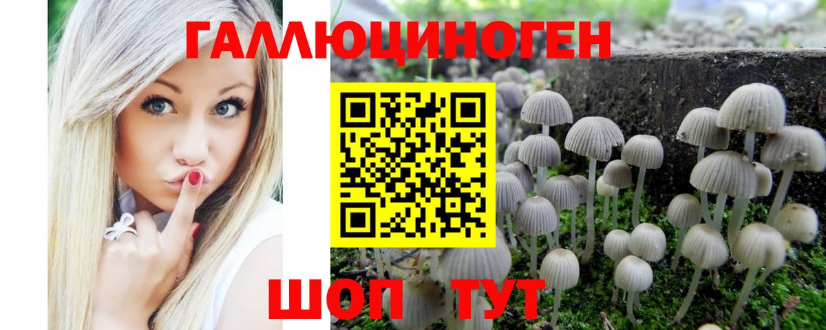 Осинники  Галлюциногенные грибы Magic Shrooms  где найти наркотики  Вход с VPN 