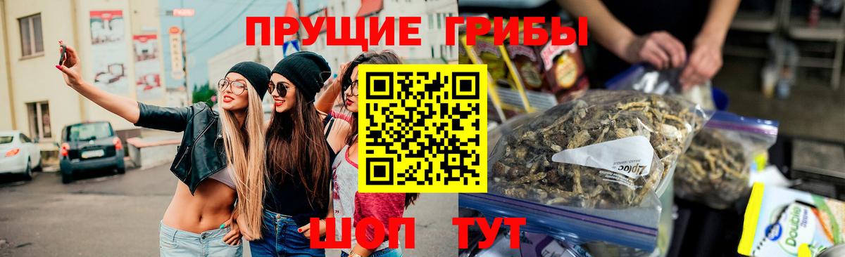 Галлюциногенные грибы прущие грибы Осинники